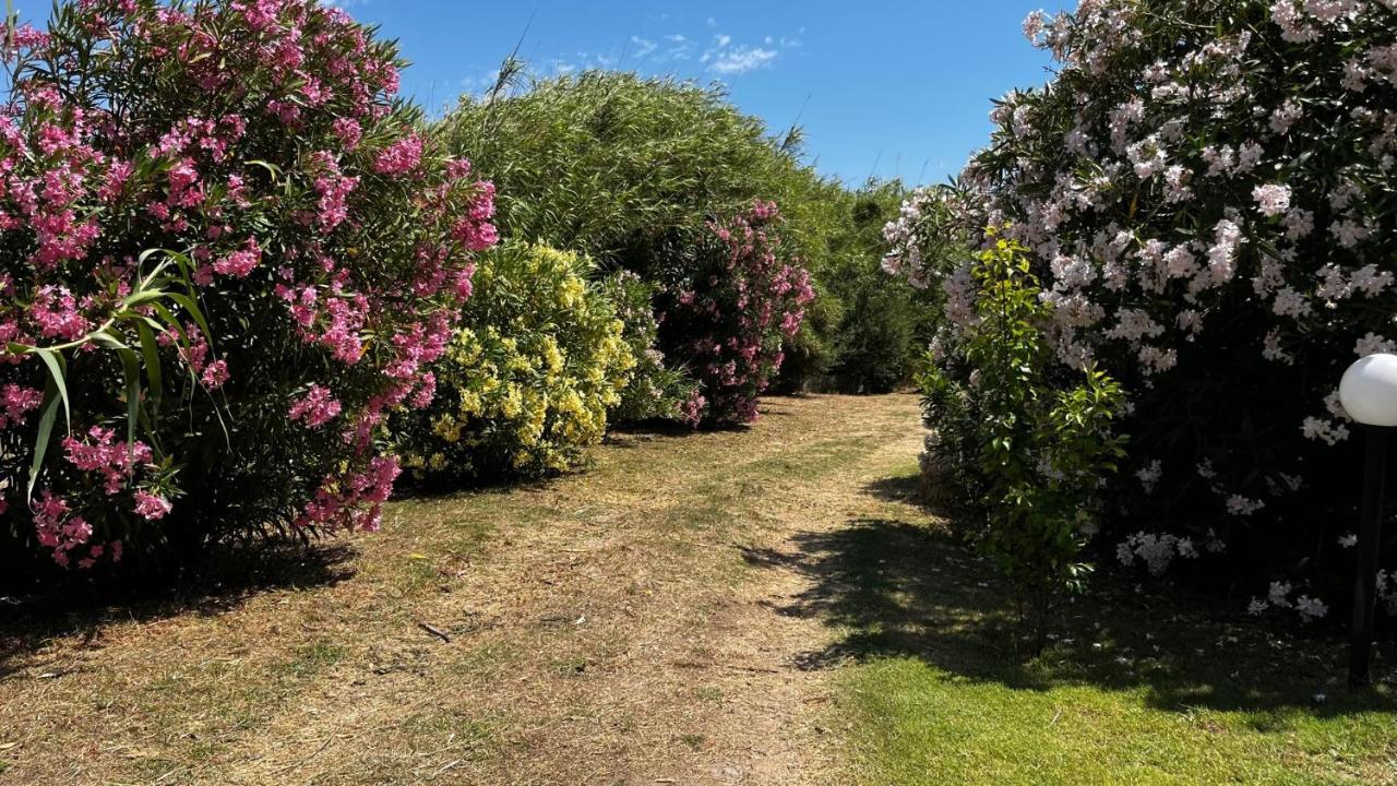 Hotel Frassetto Santa Teresa Gallura Eksteriør bilde