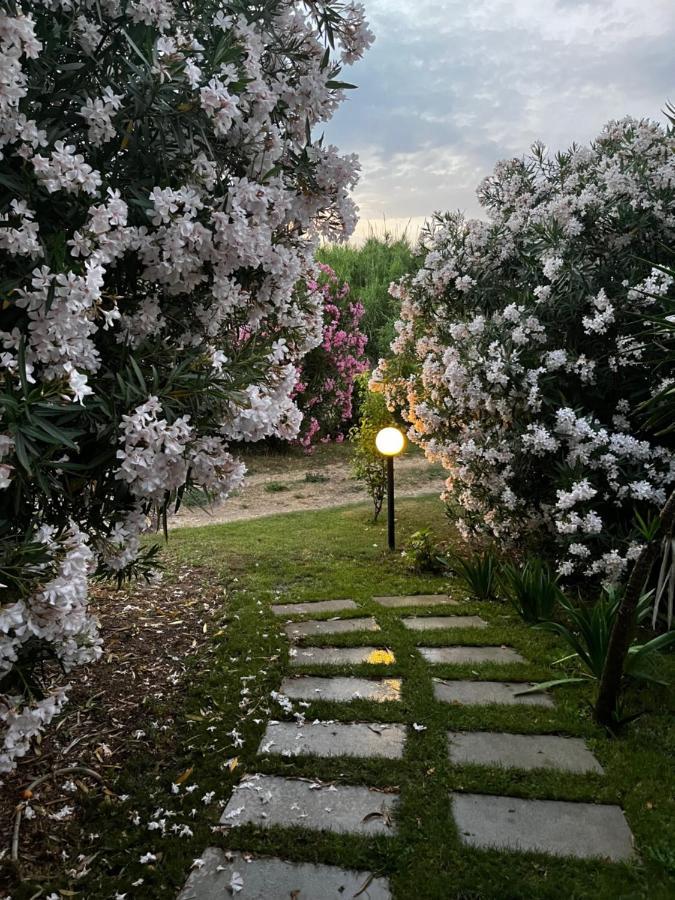 Hotel Frassetto Santa Teresa Gallura Eksteriør bilde